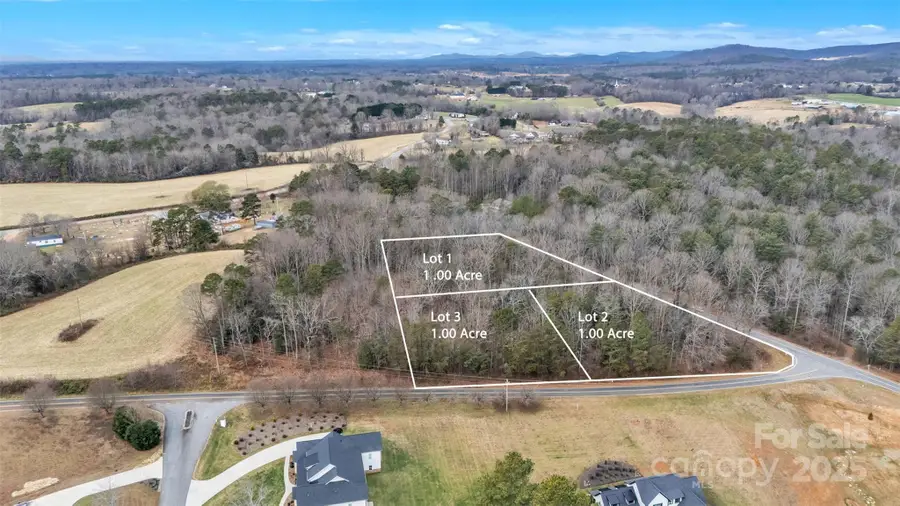 Lot 1 Rink Dam Road, Taylorsville, NC 28681 - Image #2