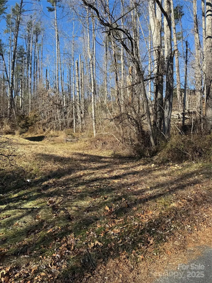 TBD George Mckinney Circle, Spruce Pine, NC 28777 - Image #2