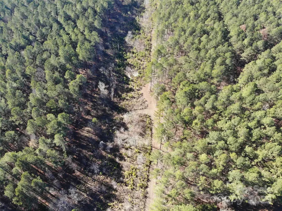 14B Dutchman Creek Road, Ridgeway, SC 29130 - Image #3