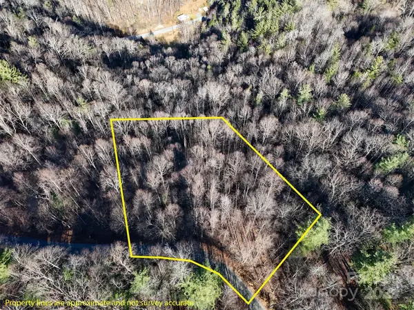 9999 Vacation Way #12, Millers Creek, NC 28651