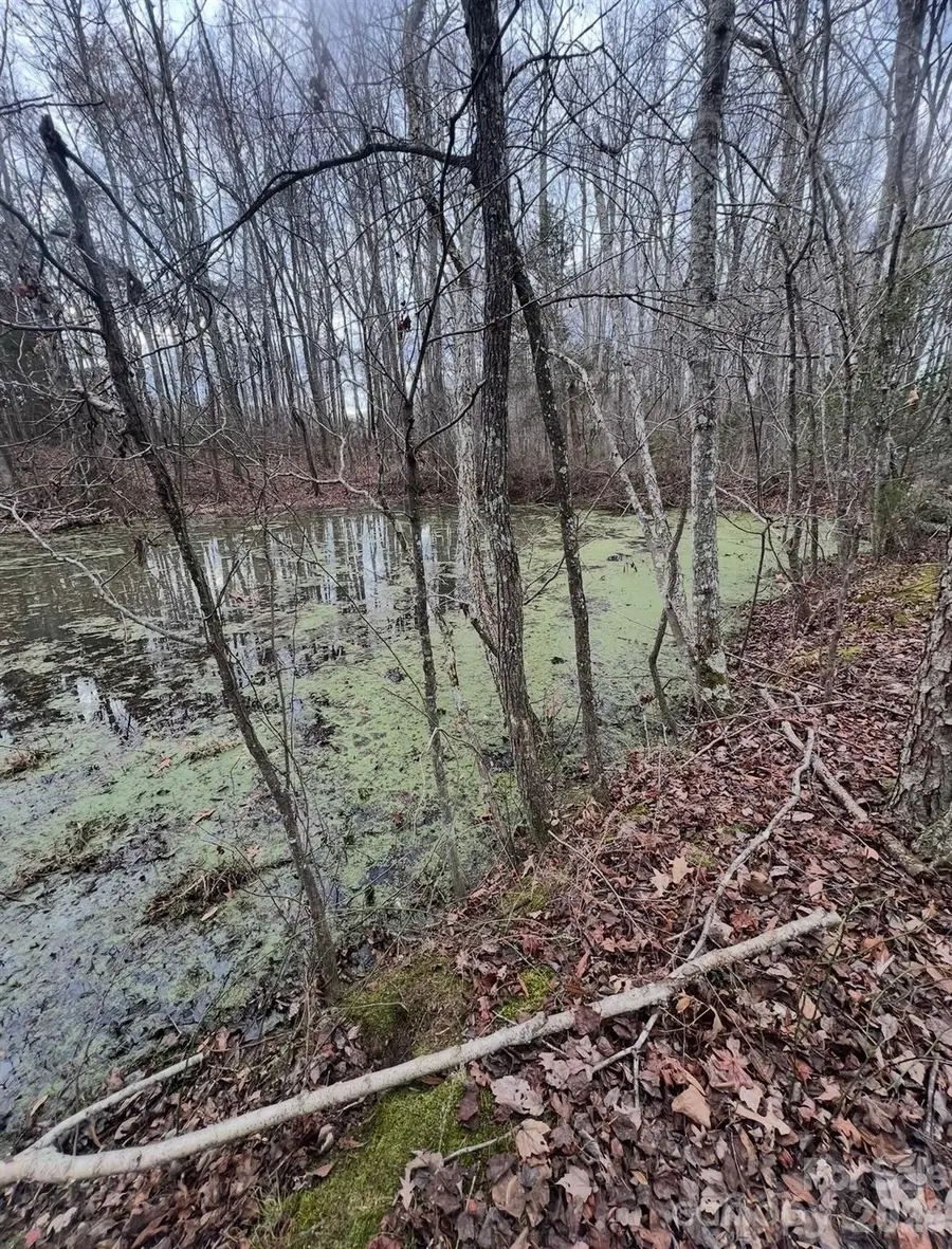 0 Fish Pond Road, Salisbury, NC 28146 - #3