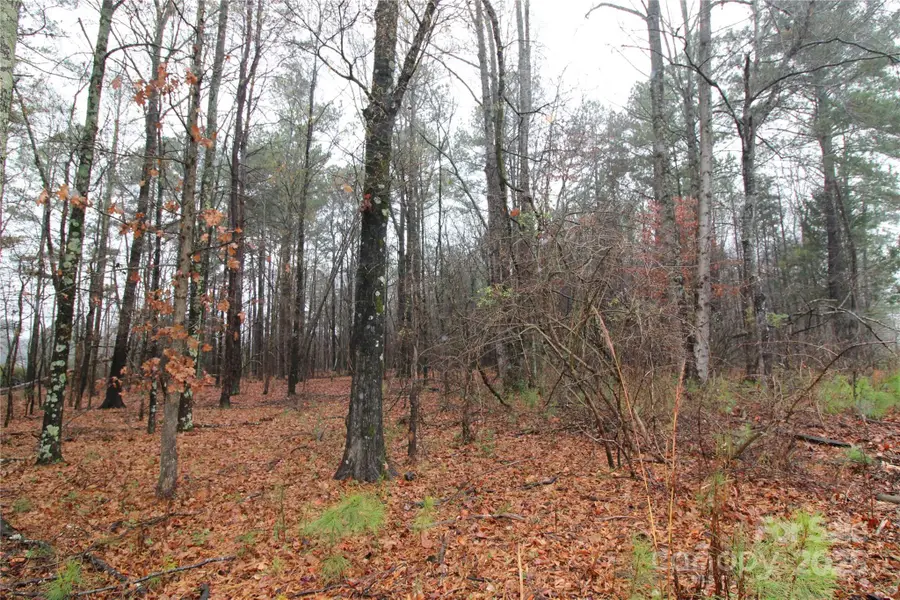 LOT O 6+/-AC Eaker Road, Kings Mountain, NC 28086 - Image #2