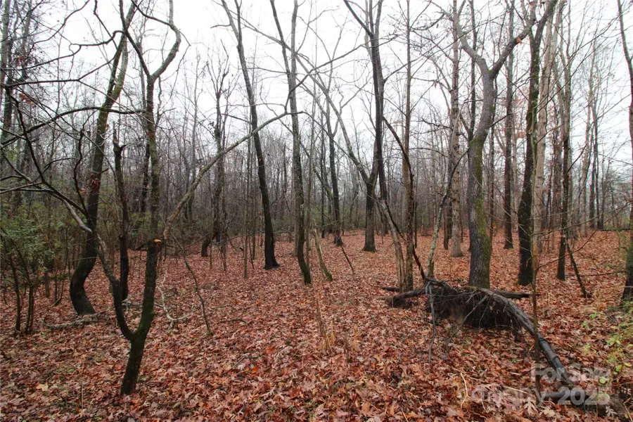 LOT O 6+/-AC Eaker Road, Kings Mountain, NC 28086 - Image #3