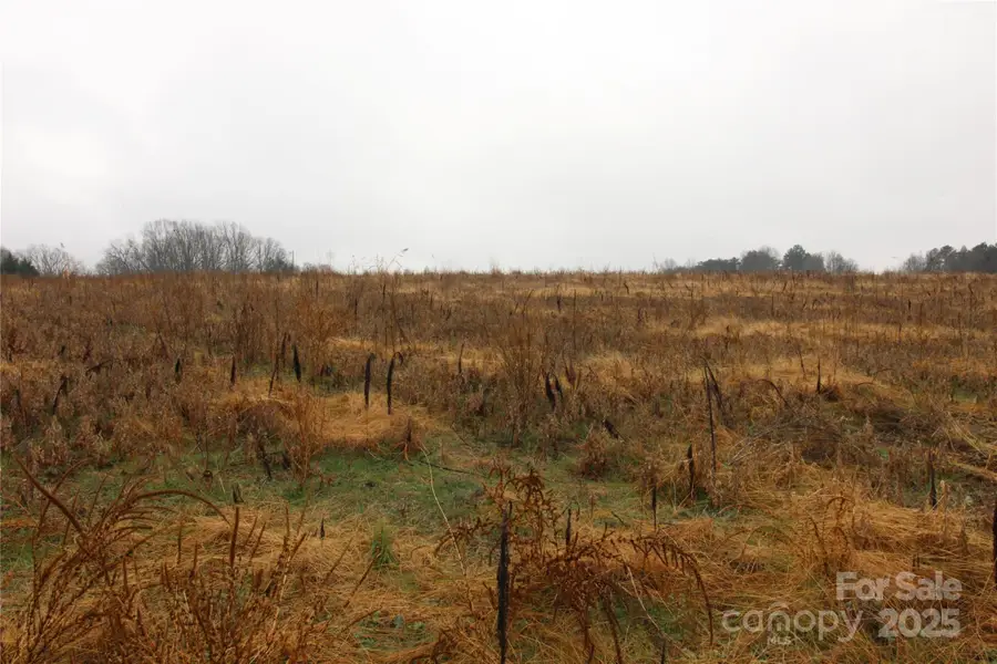 LOT B 3+/-AC Bess Road, Kings Mountain, NC 28086 - Image #3