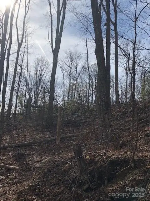 000 Marshall Ridge Road #78, Hendersonville, NC 28792