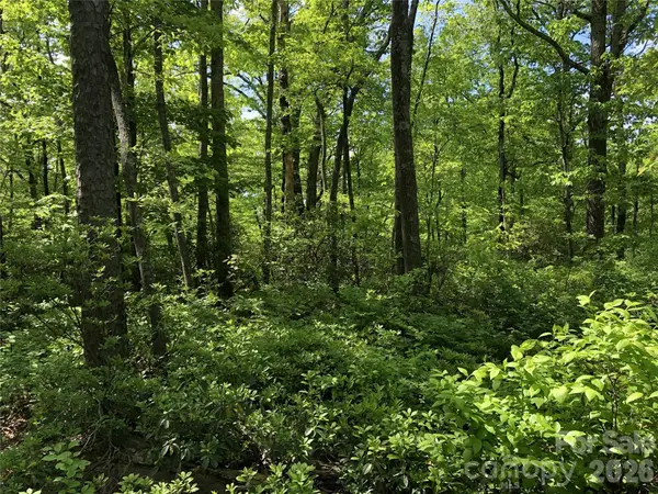 00 Millard Crossing #17, Hendersonville, NC 28792