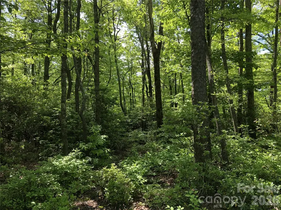 00 Millard Crossing #17, Hendersonville, NC 28792 - #2