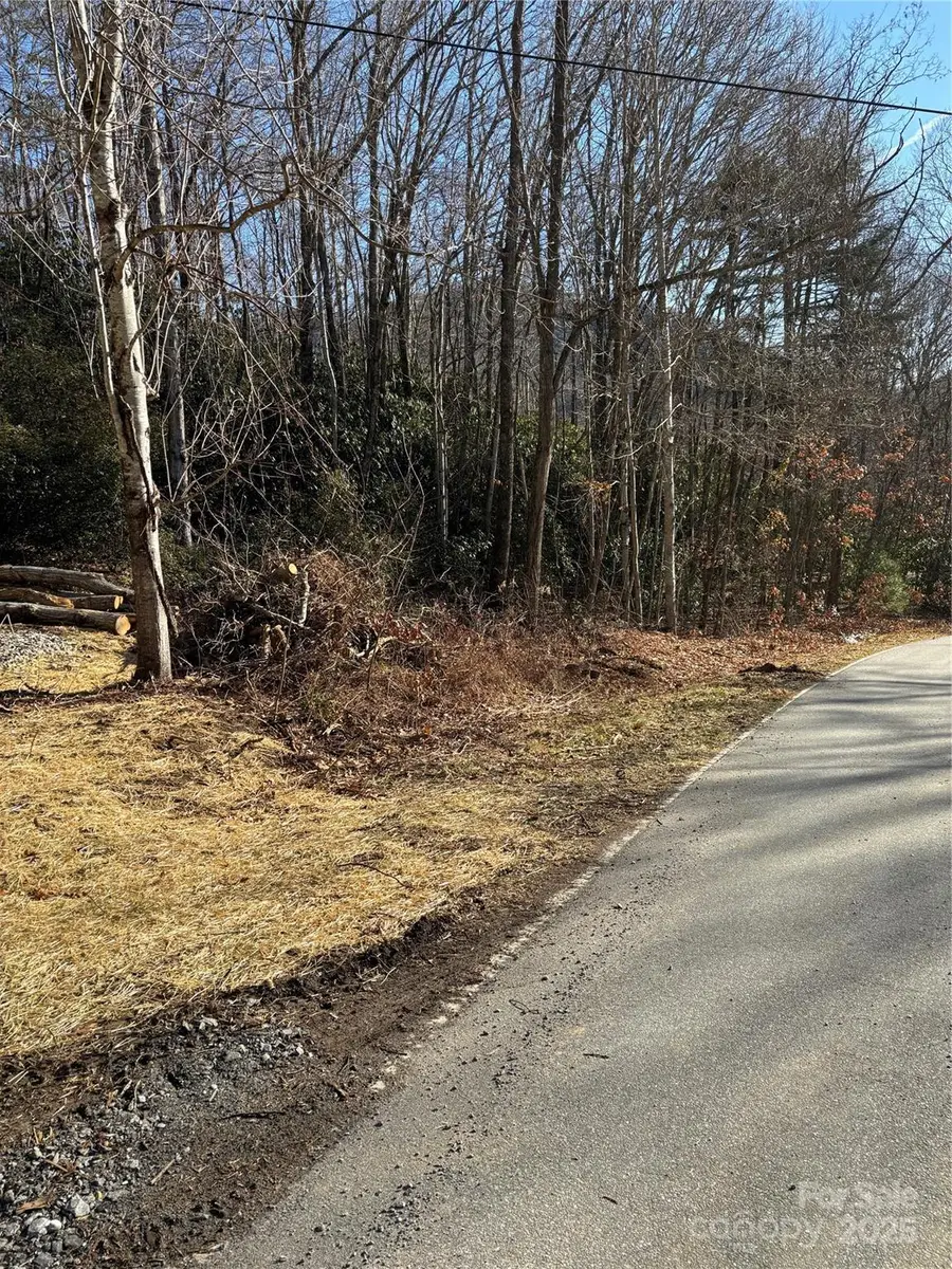 454 Sheepback Mountain Road, Maggie Valley, NC 28751 - Image #2