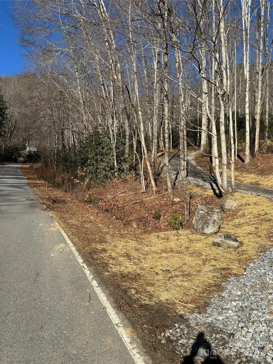 454 Sheepback Mountain Road, Maggie Valley, NC 28751 - Image #3