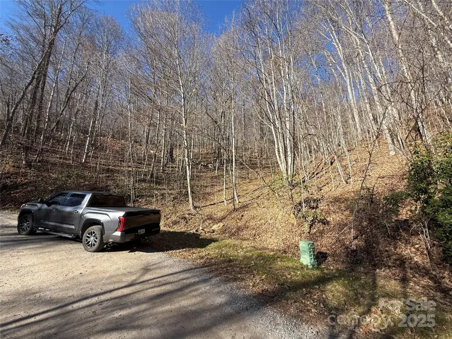 Lot 28 Bernies Trail #28, Waynesville, NC 28785 - Image #3