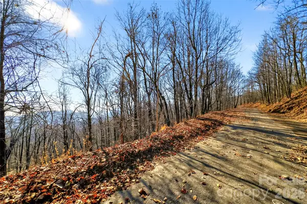 100 Wolf Pen Road, Old Fort, NC 28762