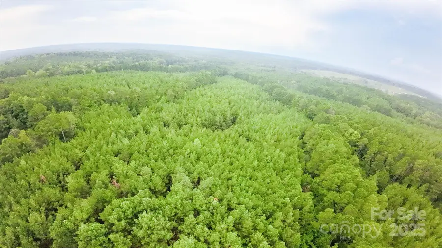 101 +/- AC Woods Ferry Road, Carlisle, SC 29031 - Image #3