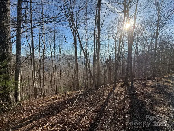 Lot 20 Brer Rabbit Trail #20, Waynesville, NC 28785