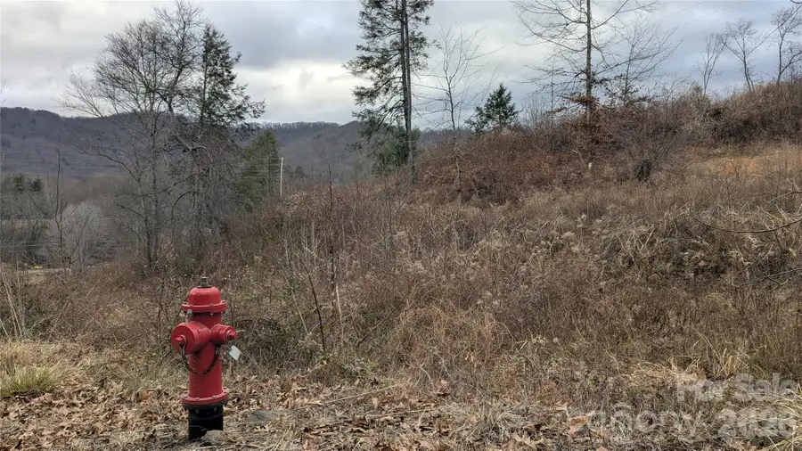 347 Richland Creek Road, Clyde, NC 28721 - Image #3