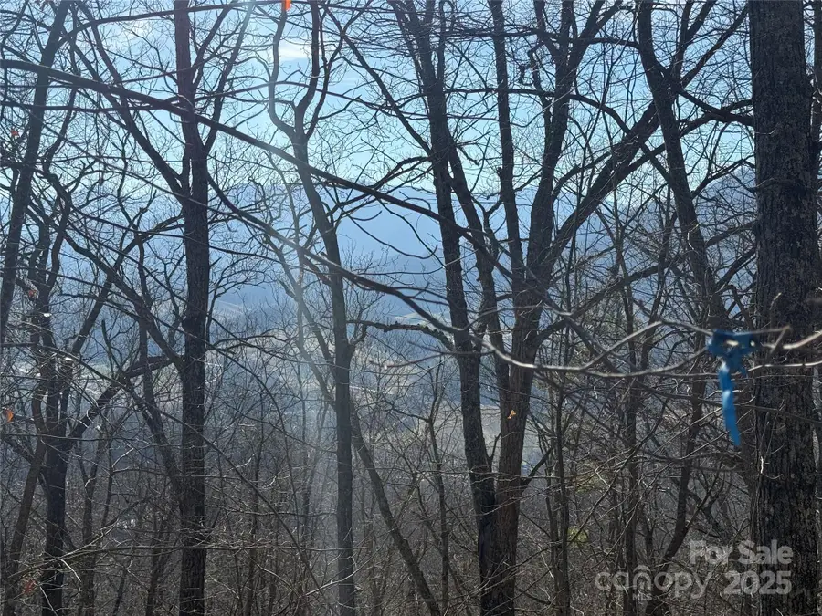 Lot 19 Brer Rabbit Trail #19, Waynesville, NC 28785 - Image #3