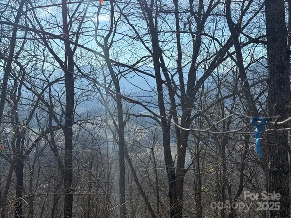 Lot 18 Bugs Bunny Lane #18, Waynesville, NC 28785