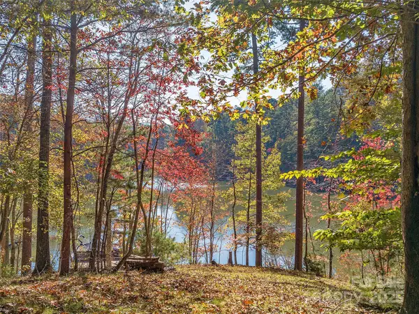 000 South Cove Road #17, Mill Spring, NC 28756