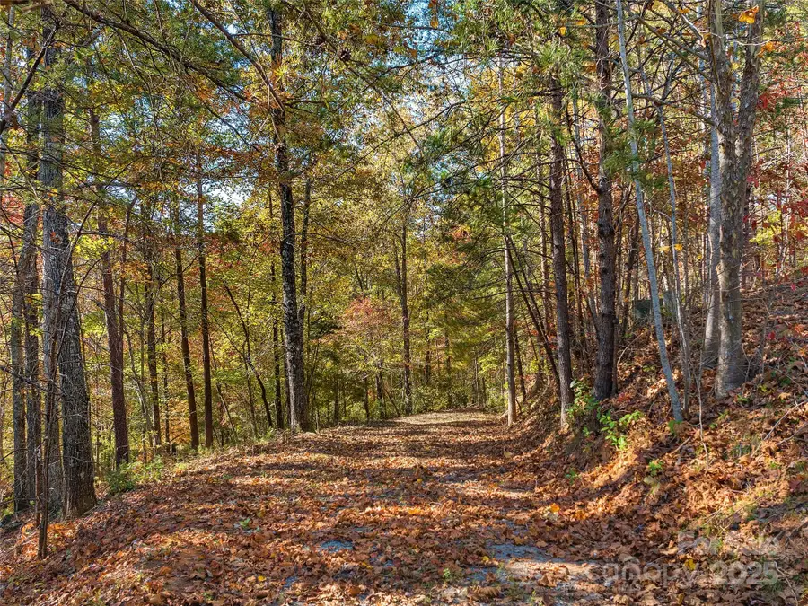 000 South Cove Road #17, Mill Spring, NC 28756 - Image #2