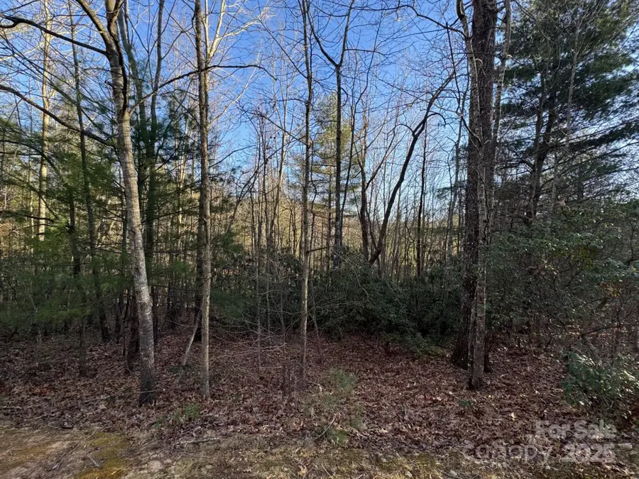 0000 Pebble Stone Trail #46, Hendersonville, NC 28792 - Image #3