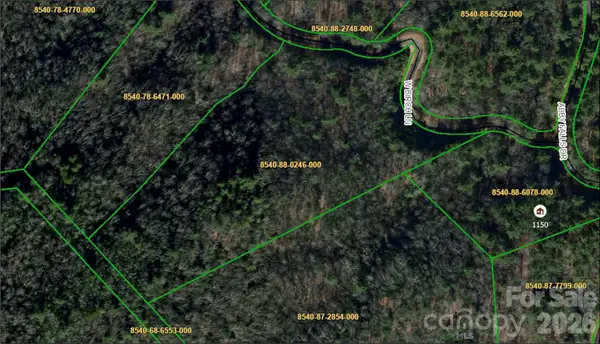 Lot 37 Birch Lane #37, Rosman, NC 28772