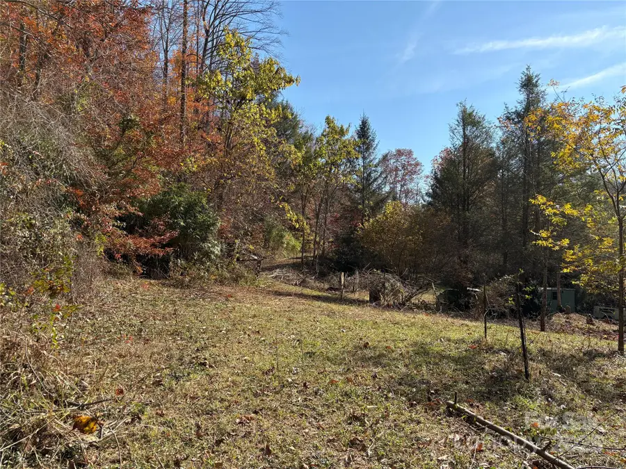 276 Cedar Creek Road, Black Mountain, NC 28711 - Image #3