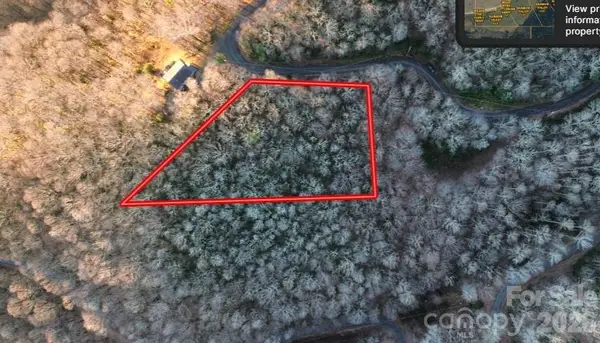 Lot 32 Bear Hollow Road #32, Waynesville, NC 28785