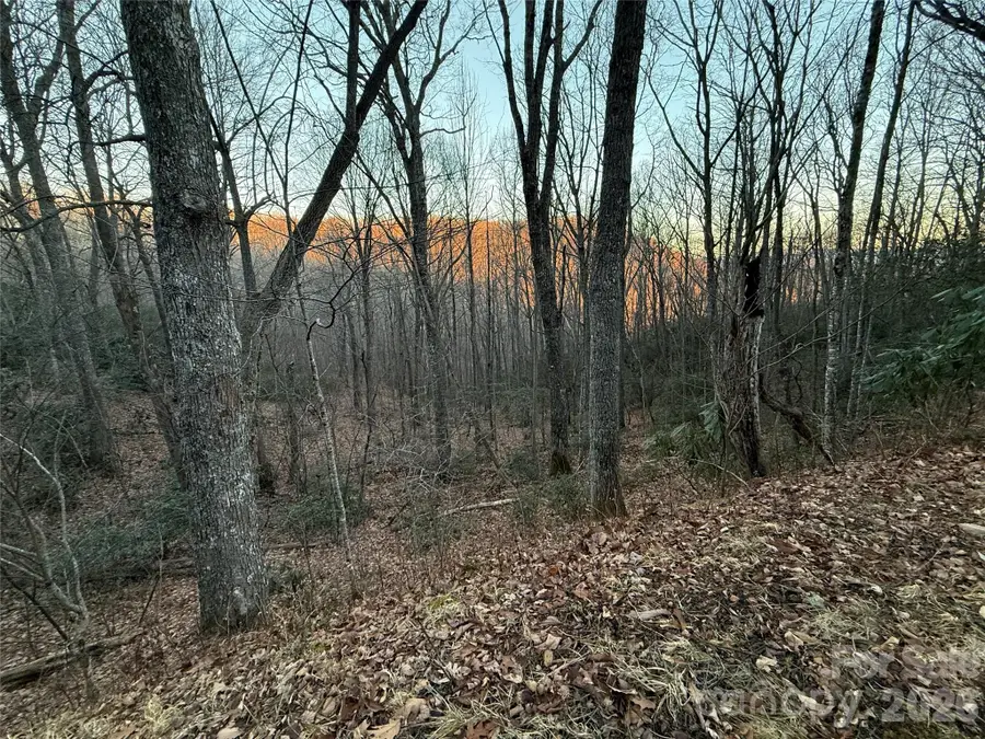 Lot 32 Bear Hollow Road #32, Waynesville, NC 28785 - Image #3