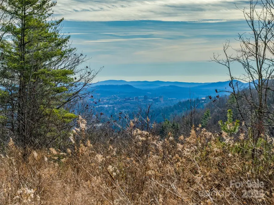 10 Villa Nova Drive, Asheville, NC 28804 - Image #2