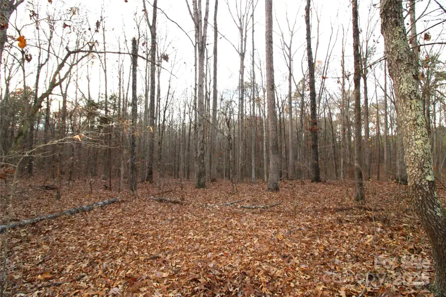 3+/-AC Pioneer Road, York, SC 29745 - Image #2