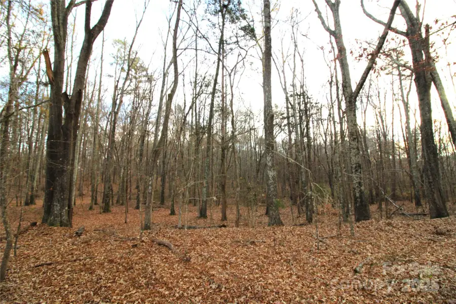 3+/-AC Pioneer Road, York, SC 29745 - Image #3