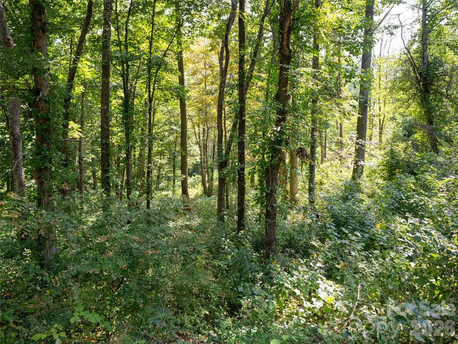 19 Keeping Kyle Crossing, Asheville, NC 28804 - Image #2