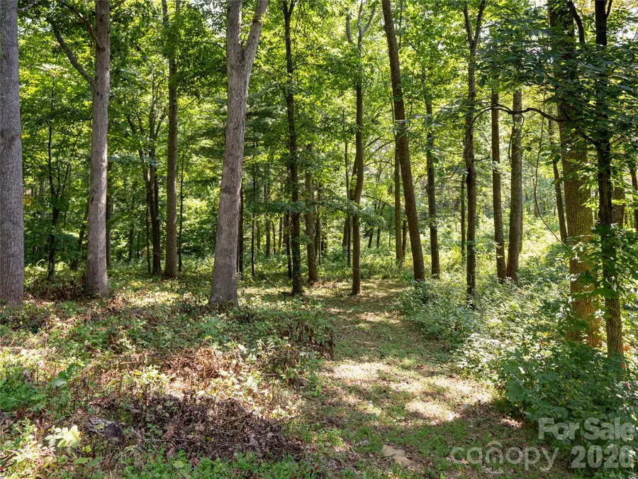 19 Keeping Kyle Crossing, Asheville, NC 28804 - Image #3