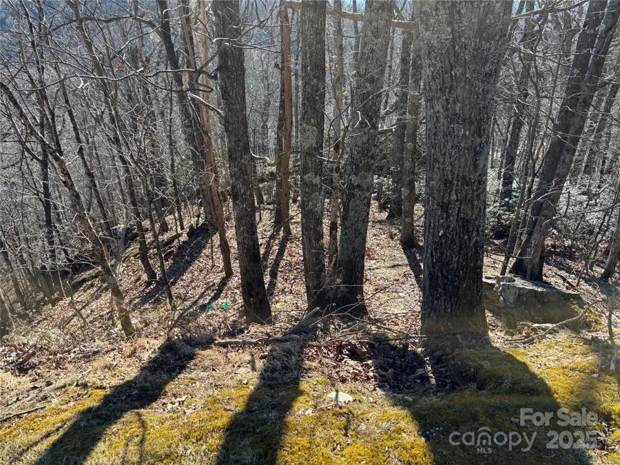 TBD State View Road, Boone, NC 28607 - Image #2