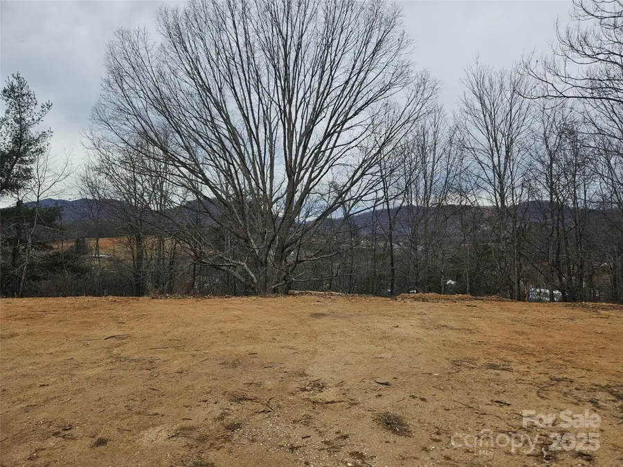 133 Windy Hill Lane, Canton, NC 28716 - Image #3