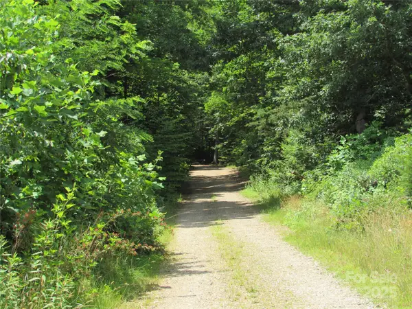 99999 Owen Valley Trail, Black Mountain, NC 28711