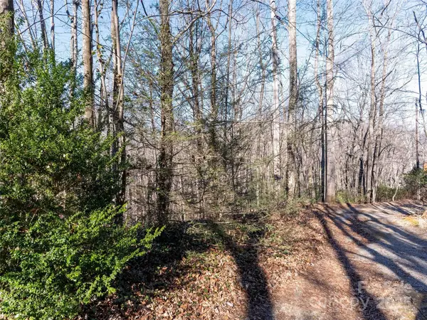 00 Mountain Page Road #17,18,19, Saluda, NC 28773