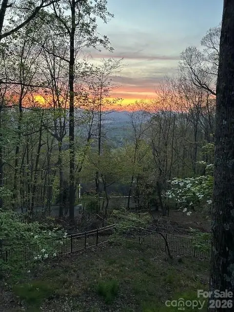 11 Poplar Drive, Mills River, NC 28759 - #3