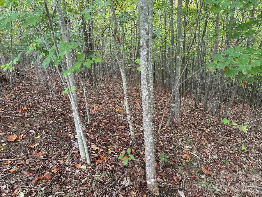 311 Scenic Vista Drive #254, Nebo, NC 28761 - #3