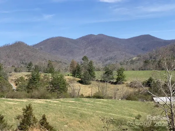 1 Pink Fox Cove Road, Weaverville, NC 28787