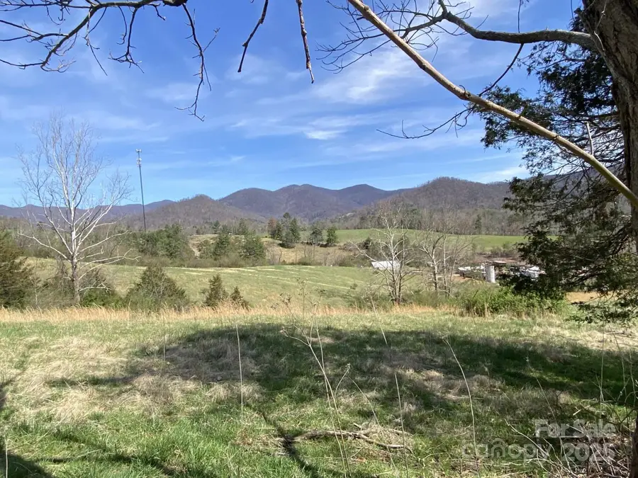 1 Pink Fox Cove Road, Weaverville, NC 28787 - Image #3