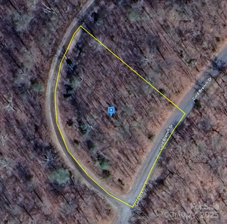 1225 Cold Branch Drive, Hayesville, NC 28904 - Image #1