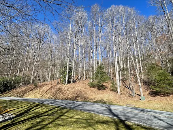 00 Chattooga Run #292R, Hendersonville, NC 28739