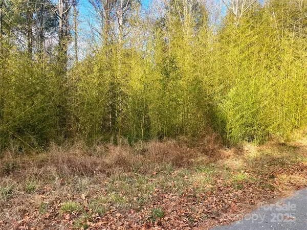 Lot #7 Winnie Hole Lane #7, Richburg, SC 29729