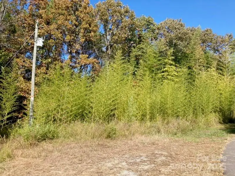 Lot #7 Winnie Hole Lane #7, Richburg, SC 29729 - Image #3