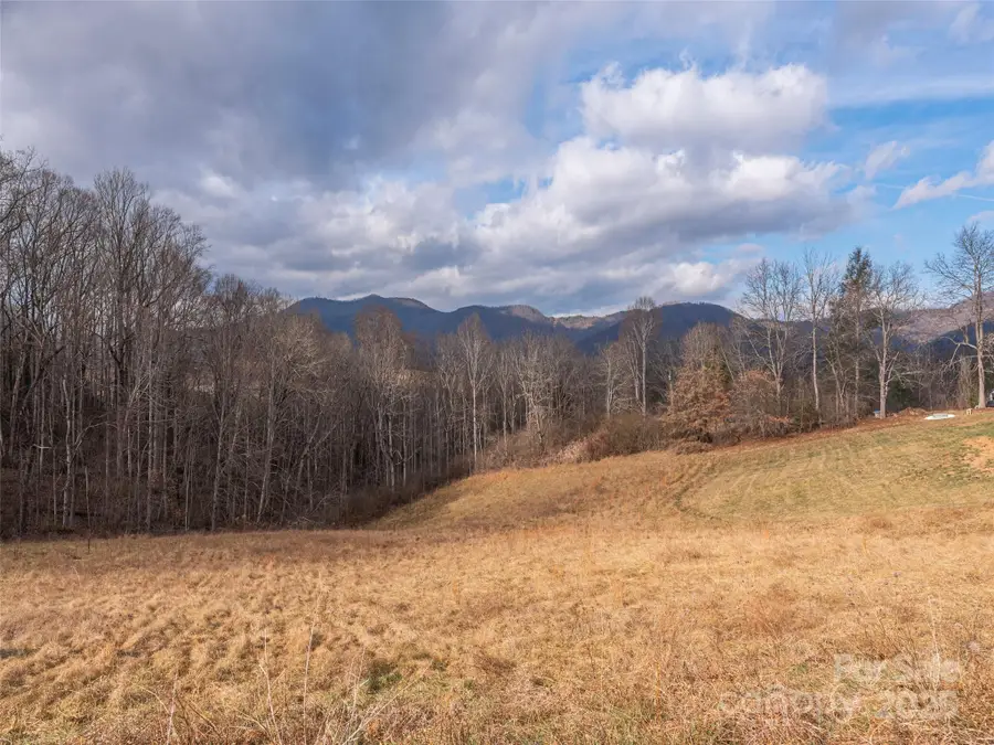 105 Riverview Drive, Canton, NC 28716 - Image #2