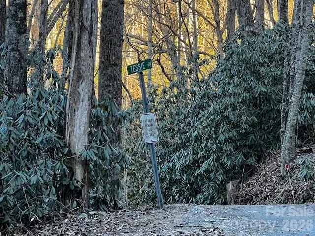 9999 Tessie Lane, Black Mountain, NC 28711 - Image #3