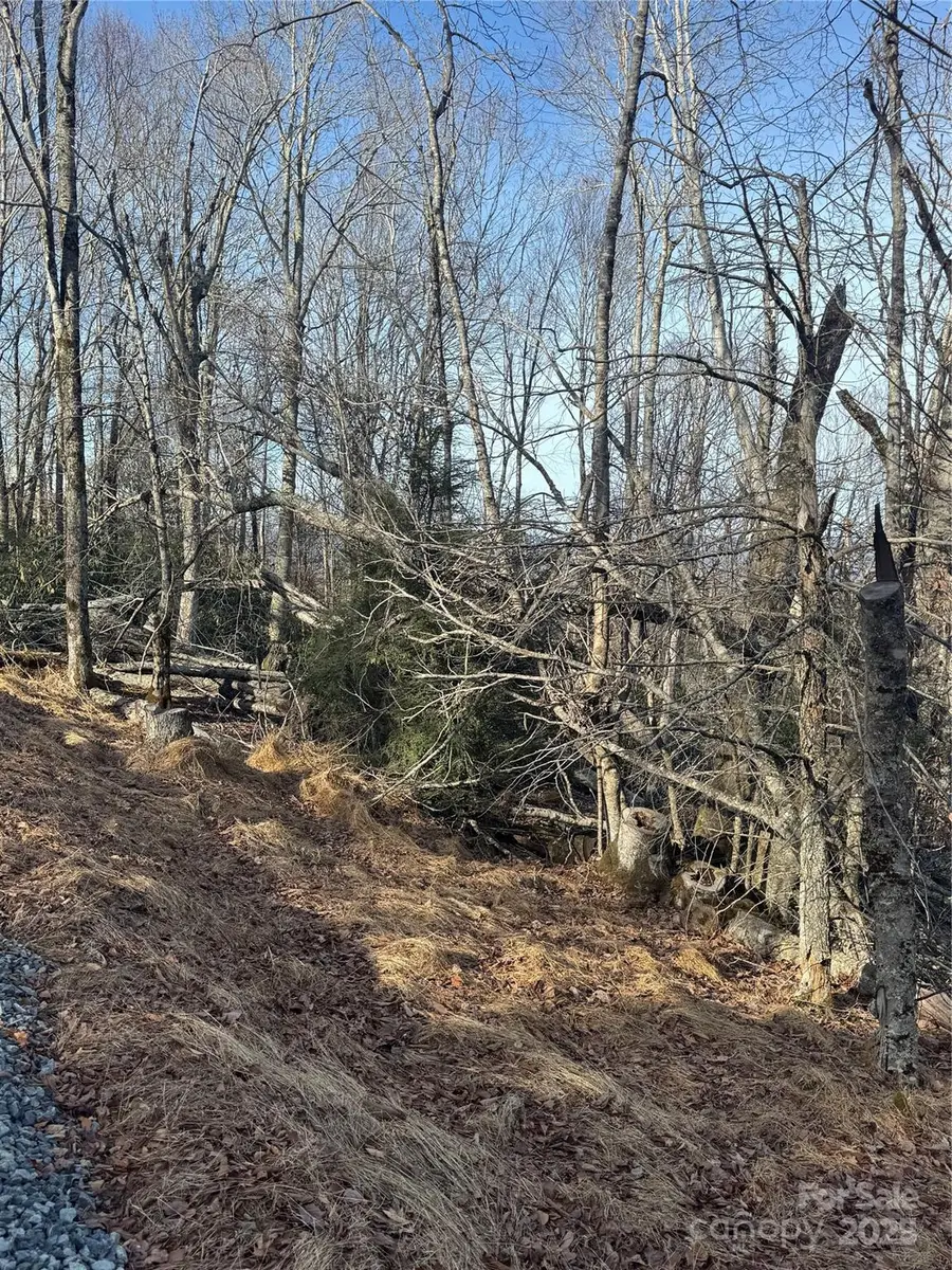 226 Greenbriar Road #322 C, Beech Mountain, NC 28604 - Image #3