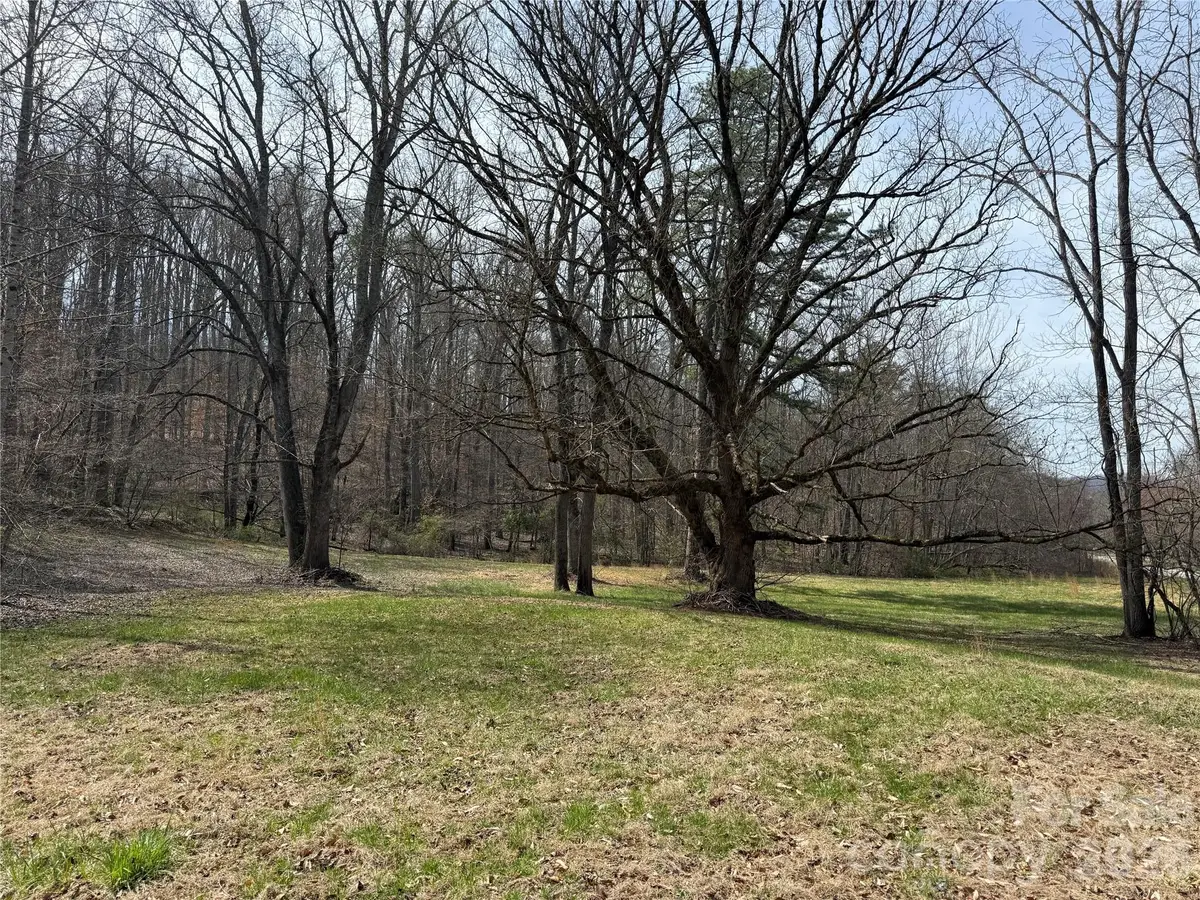 57 N Fork Road, Barnardsville, NC 28709 - #1