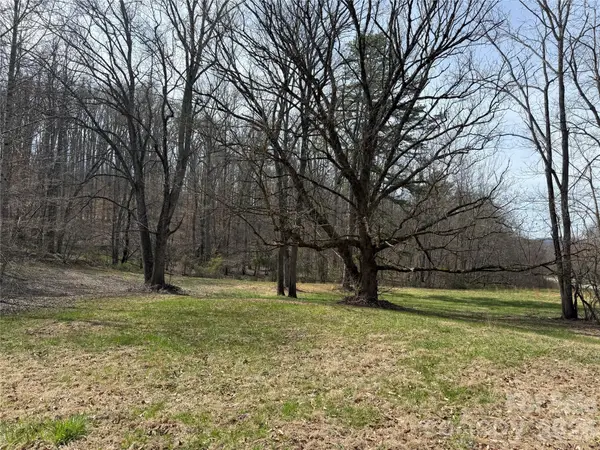 57 N Fork Road, Barnardsville, NC 28709