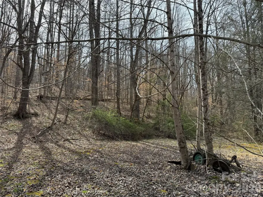 57 N Fork Road, Barnardsville, NC 28709 - #2